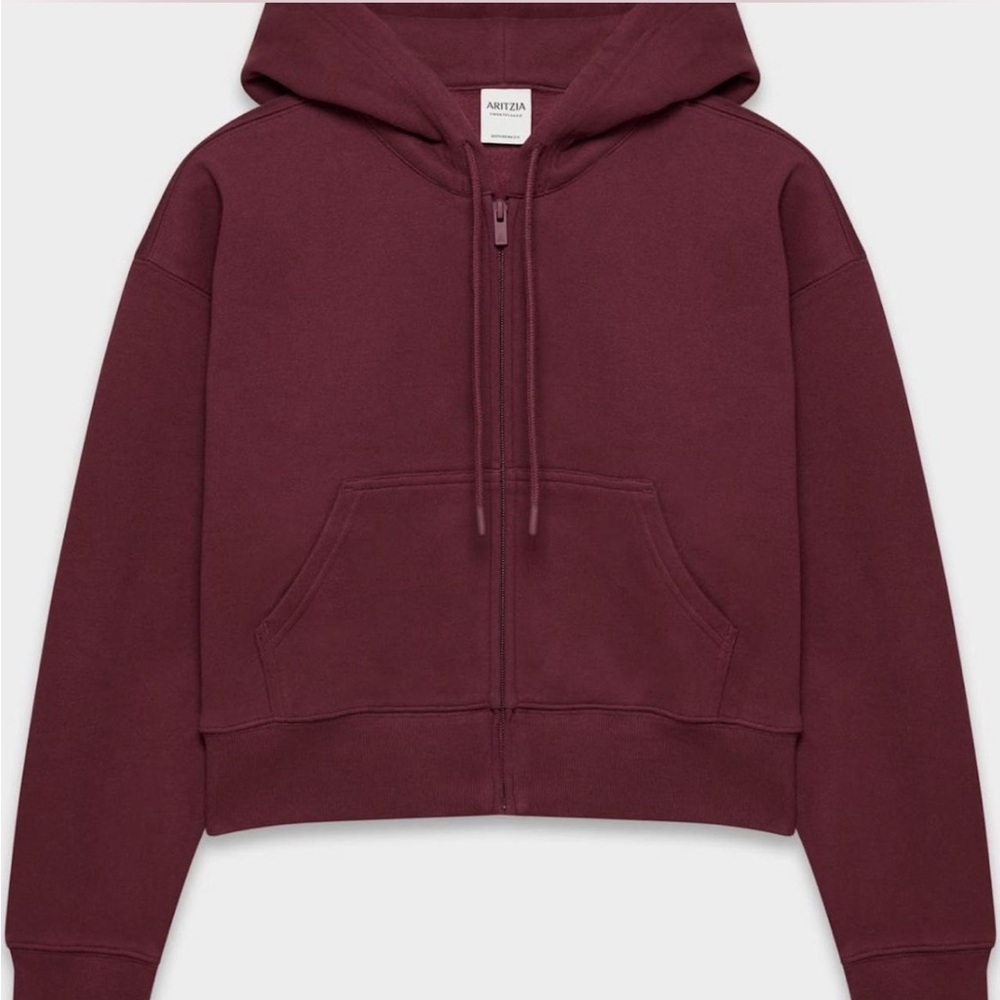 Aritzia Burgundy Hoodie Sweater